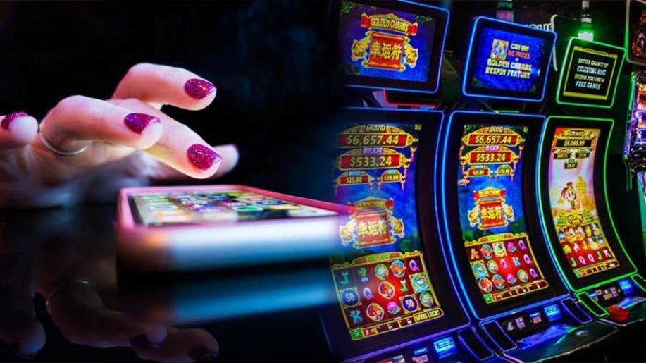 Proses pendaftaran dan verifikasi akun pengguna baru di platform wild4d